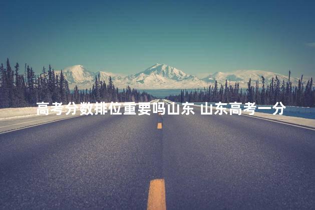 高考分数排位重要吗山东 山东高考一分差有多少人